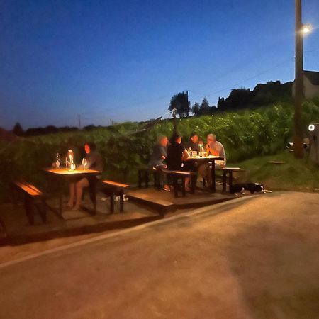 Somló Kolonics Kúria Somlovasarhely Exterior foto