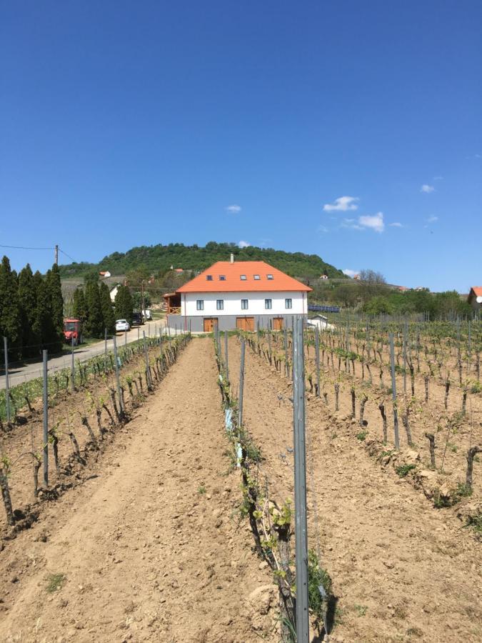 Somló Kolonics Kúria Somlovasarhely Exterior foto