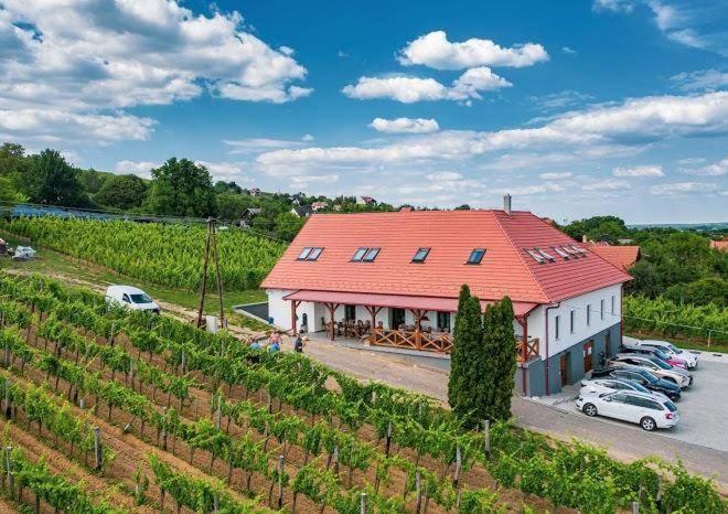 Somló Kolonics Kúria Somlovasarhely Exterior foto